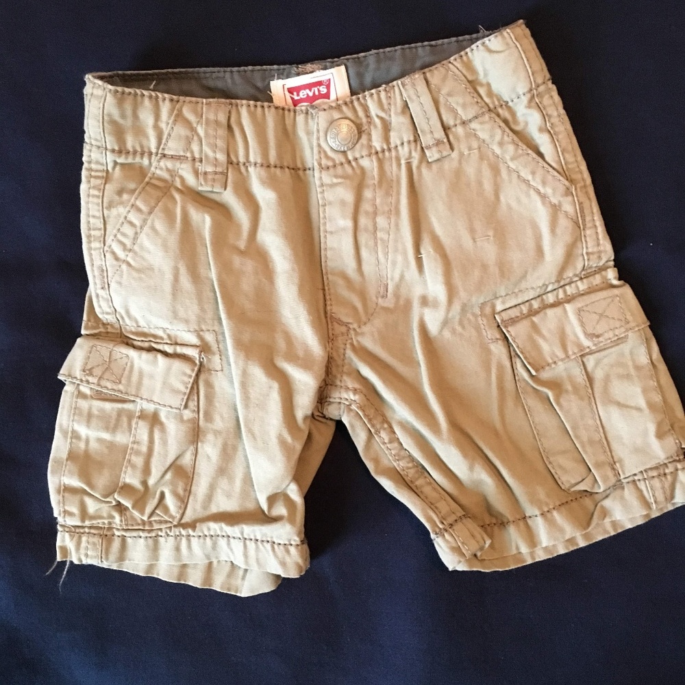 Levis Cargo Pants